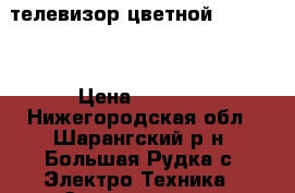 телевизор цветной “Rolsen“ › Цена ­ 3 000 - Нижегородская обл., Шарангский р-н, Большая Рудка с. Электро-Техника » Электроника   